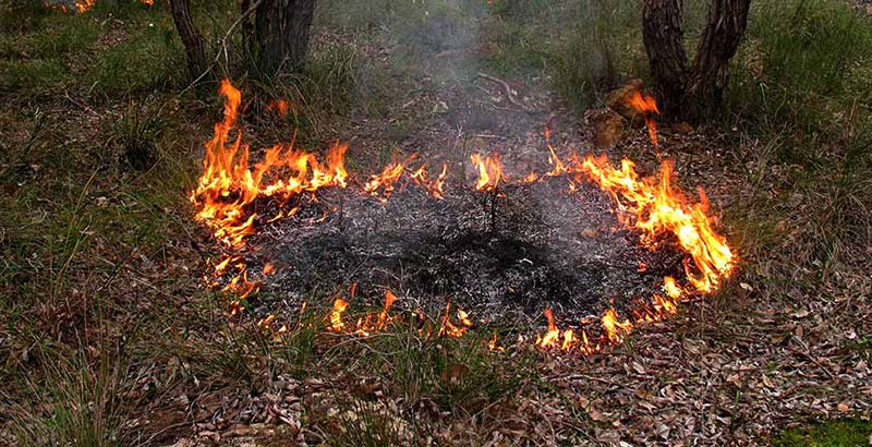 Fire Restrictions and Permits Morangup